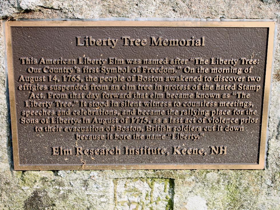 Princeton Massachusetts Liberty Tree